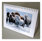 Sérprentað borðalmanak, kápa