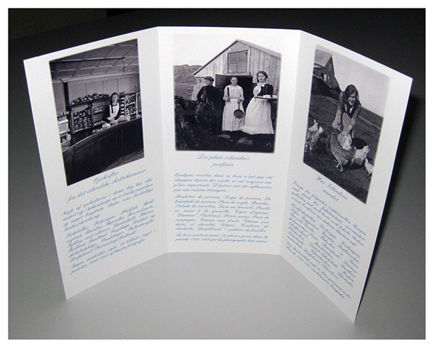 Samanbrjótanlegur bæklingur