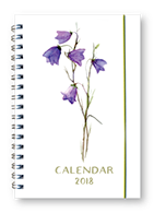 Dagbók, Bláklukkur, ensk